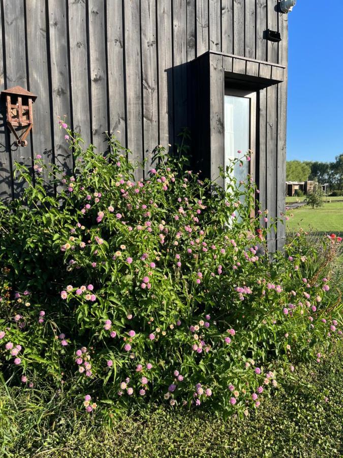Nenquen Lodge 산타크루스 외부 사진